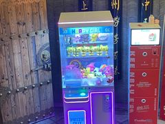 -蜀九鼎毛肚火锅(惠安店)