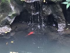 -君来梁溪饭店-餐厅