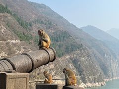 -白帝城·瞿塘峡景区