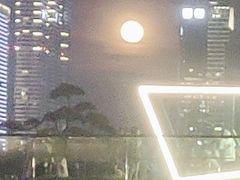 -钱江新城灯光秀