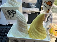 -野人先生现做冰淇淋(北京环宇荟店)