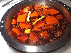 -孙毛肚火锅(春熙路店)