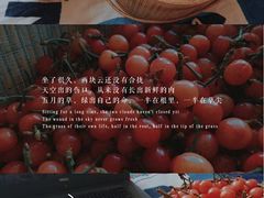-竹子庵公园