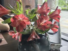 -九月里.自由花园餐厅