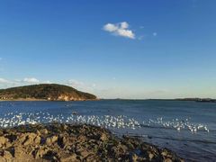 -烟墩角天鹅湖