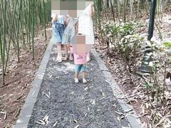 -龙头寺公园
