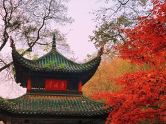 -岳麓山风景名胜区