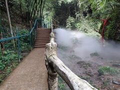 -川西竹海景区