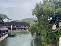 -鲁镇