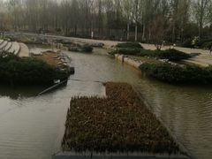 -大望京公园