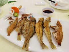 -新梅园不夜粥(龙华店)