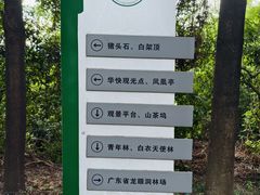 -火炉山森林公园