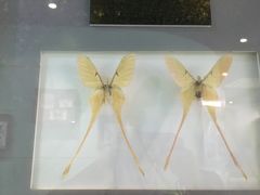 -上海昆虫博物馆