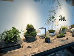 -植觉