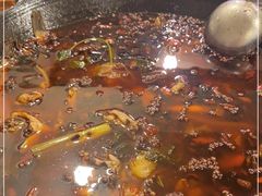 -鸿顺老铁锅美蛙鱼府(解放碑店)
