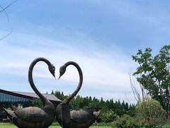 -东平国家森林公园