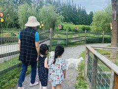 -前小桔亲子创意农场·草莓采摘·露营烧烤