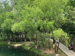 -洋湖国家湿地公园