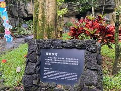 -海口观澜湖火山温泉谷