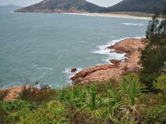 -广东惠东海龟国家级自然保护区