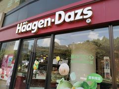 门面-哈根达斯(龙湖时代天街店)