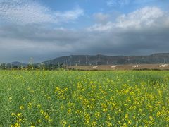 -光明小镇欢乐田园