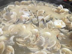 -顺德哥卜卜贝(旗舰店)