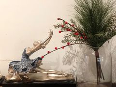 -iBallet爱芭蕾舞蹈艺术中心(星合校区)