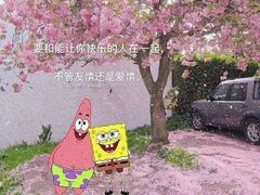 -老号尤兔头(幸福店)