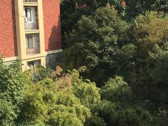 -碧云新天地二期