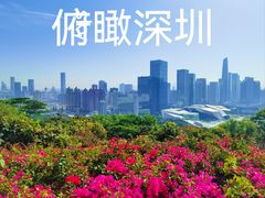 -莲花山公园