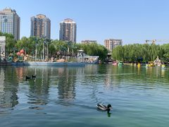 -团结湖公园