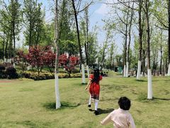 -府河摄影公园