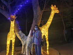 -武汉紫薇都市田园