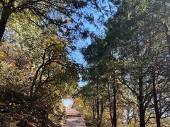 -北京西山国家森林公园