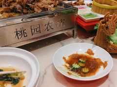 -桃园农庄烤全羊(江秋路店)