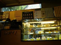 -莓园冰淇淋店