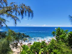 -广东惠东海龟国家级自然保护区