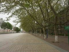-西北农林科技大学(北校区)