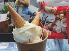 小榄菊花-歎雪糕低糖低脂Gelato冰淇淋