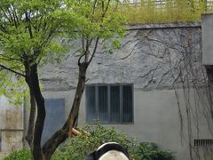 -柳州市动物园