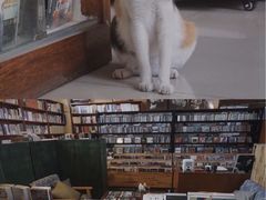 -麦田书店(国防路店)