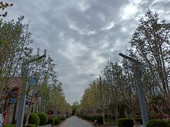 -南宫五洲植物乐园