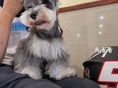 -艾贝尔宠物医院·24H转诊中心·肿瘤猫专科(江宁双龙店)
