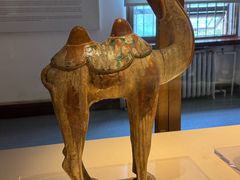-旅顺博物馆
