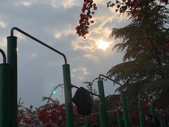 -四川大学(望江校区)