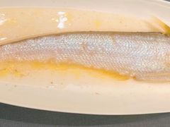 -沈灶河豚宴·河豚融合餐厅(汉中路店)