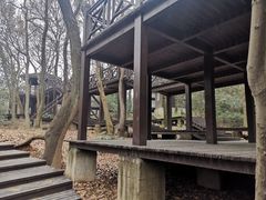-宝岩生态观光园