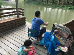 -昆山城市生态森林公园