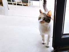 -隹木咖啡馆(宝龙广场店)